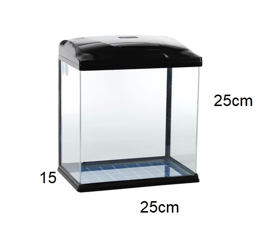 Fully Equipped Small Fish Tank