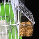 Bird Cage Feeder