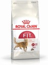 Royal Canin Cat Dry Food 400g - fit 32