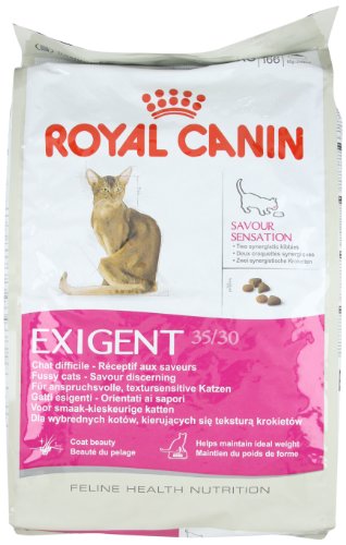 Royal Canin Cat Dry Food 10kg - fussy exigent