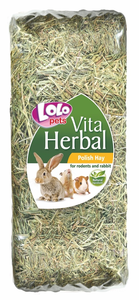 LoLo Pets Hay for Rodents - 500g 