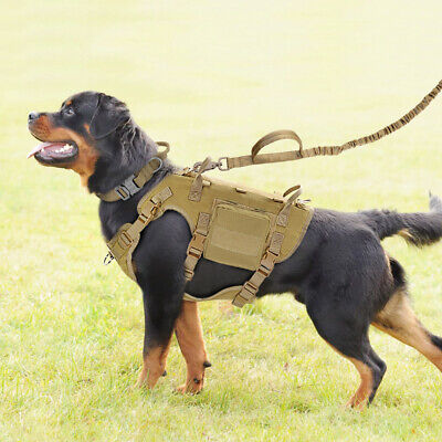 Forestpaw Tactical Dog Harness for Large Dogs