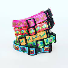 My Fun Pet Dog Collar 25*2 Cm