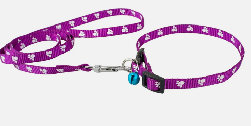 Paw Print Nylon Dog Leash