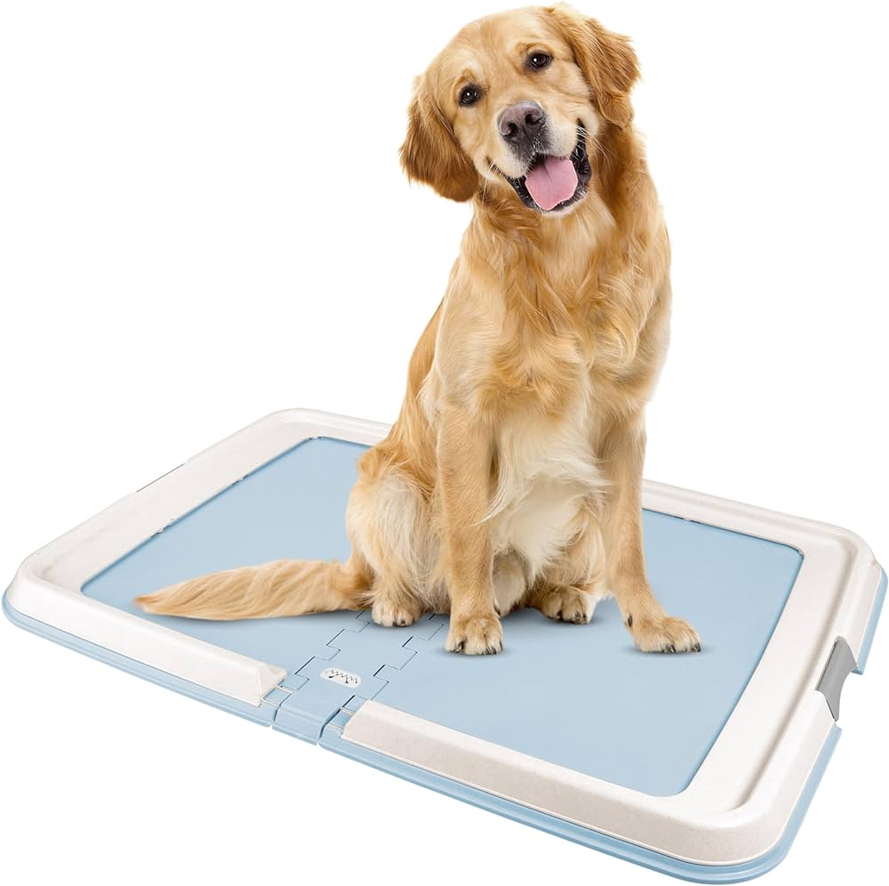 Dog Pads Holder Tray