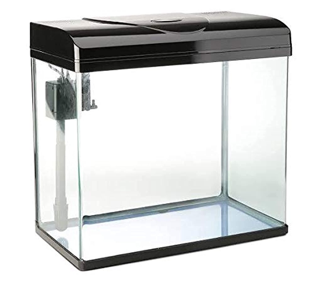 Fully Equipped Medium-Sized Fish Tank