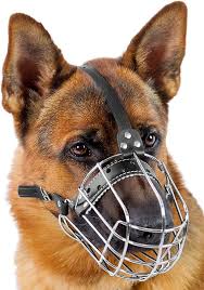 Steel dog muzzle