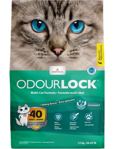 Intersand Cat Litter Breeze Scent 12kg
