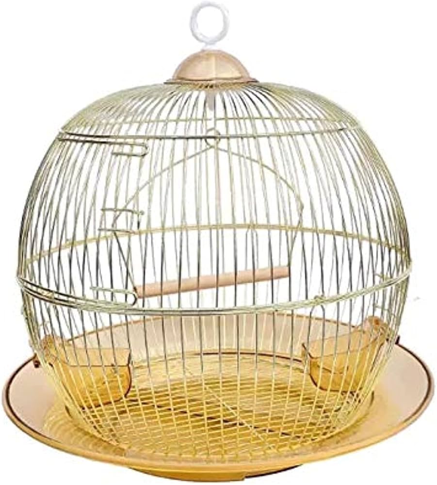 Golden Round Cage with Swing