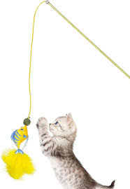 Fish-Shaped Feather Toy