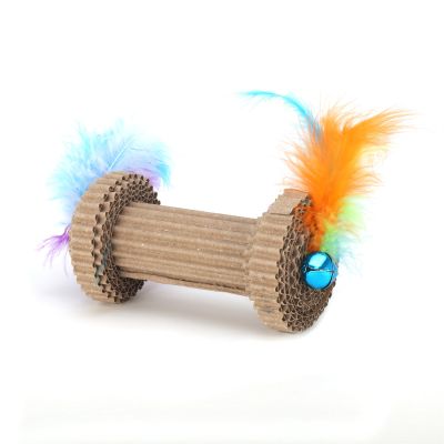 خداشة قطط مع ريشة