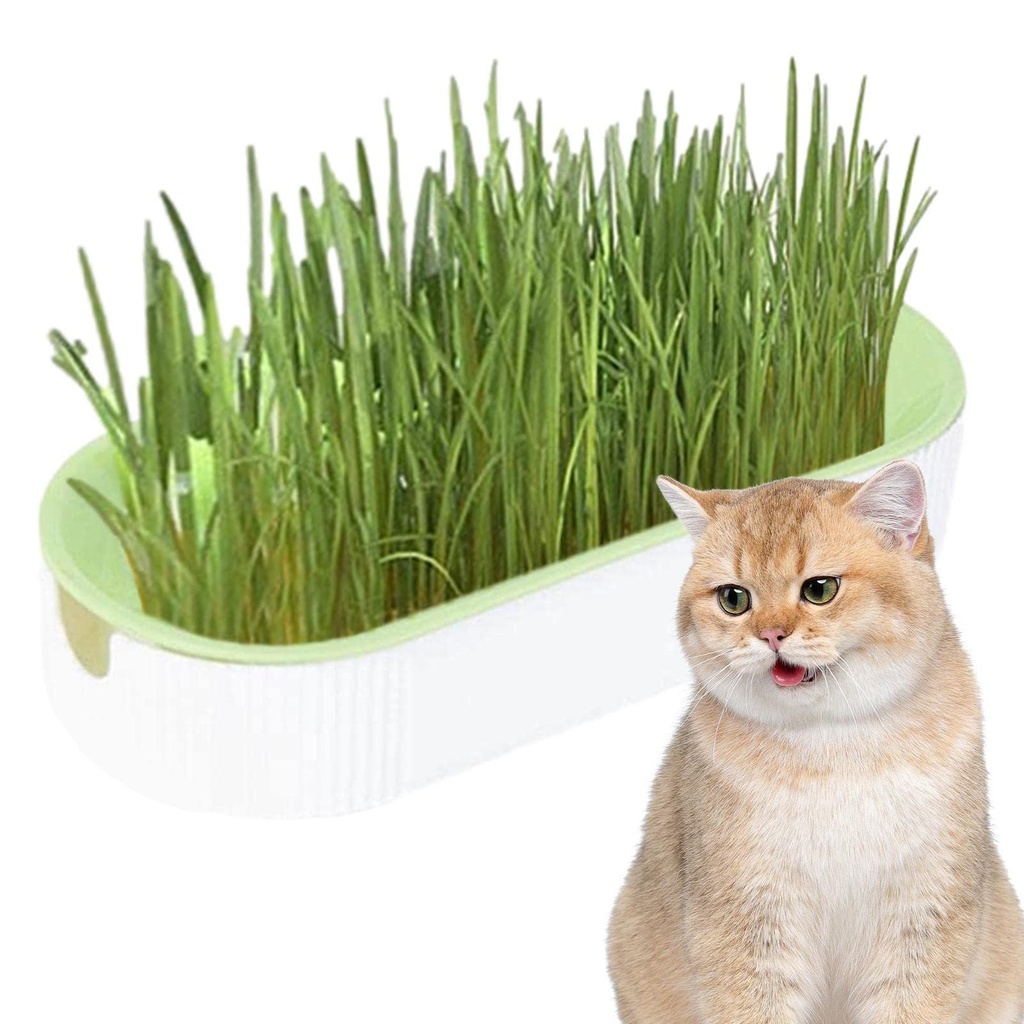 Cat Supplement Grass Kit