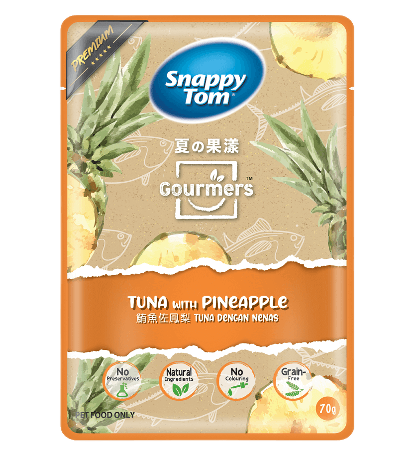 Snappy Tom Gourmers Tuna with Pineapple 70g