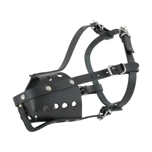 Leather dog muzzle large
