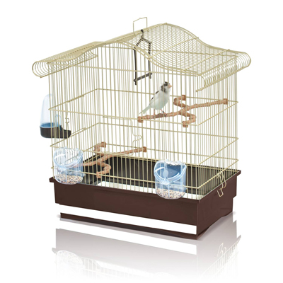 gold bird cage