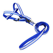 Harness for Small Adult Dog