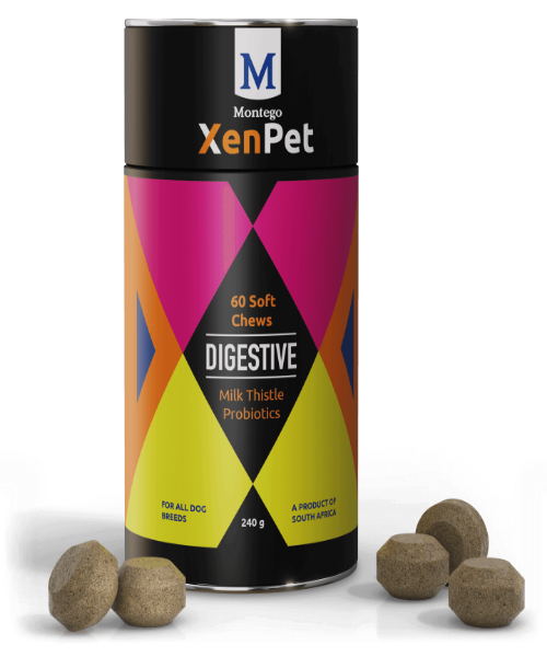 Montego XenPet Digestive Soft Chews with Milk Thistle for Dogs