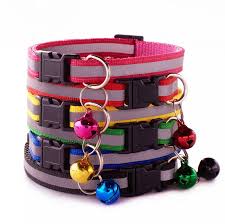 Medical Cat Collars – Safe, Adjustable & Stylish