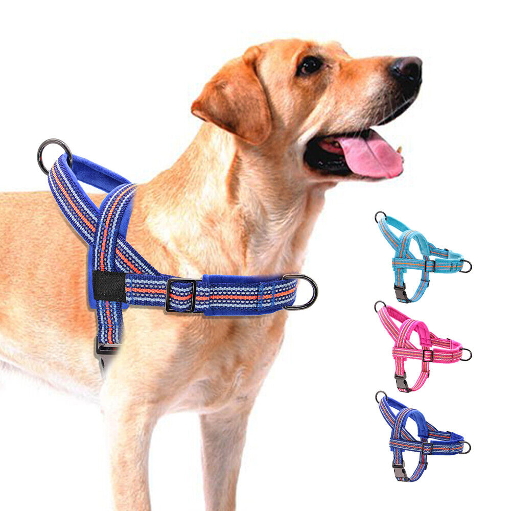  Training Harness for Large Dogs