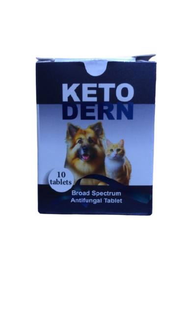  Ketoconazole for Cats – Effective Antifungal Treatment
