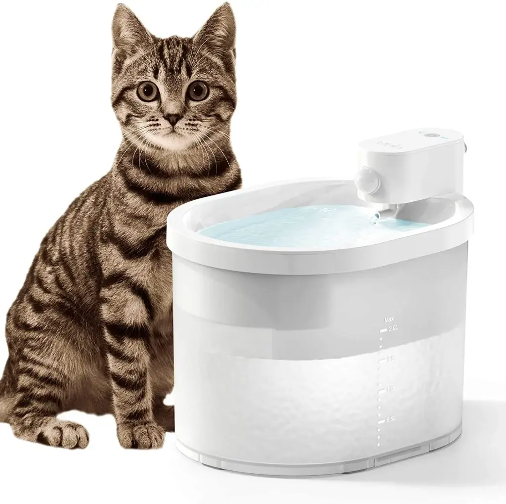 Wireless Cat Water Fountain – 2.5L Battery-Operated with Motion Sensor