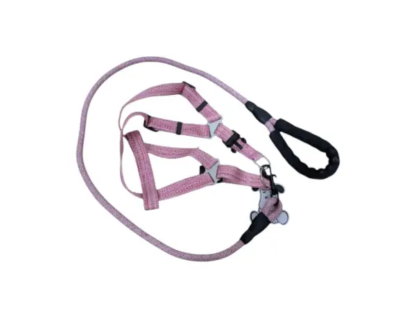 harnes for small dog