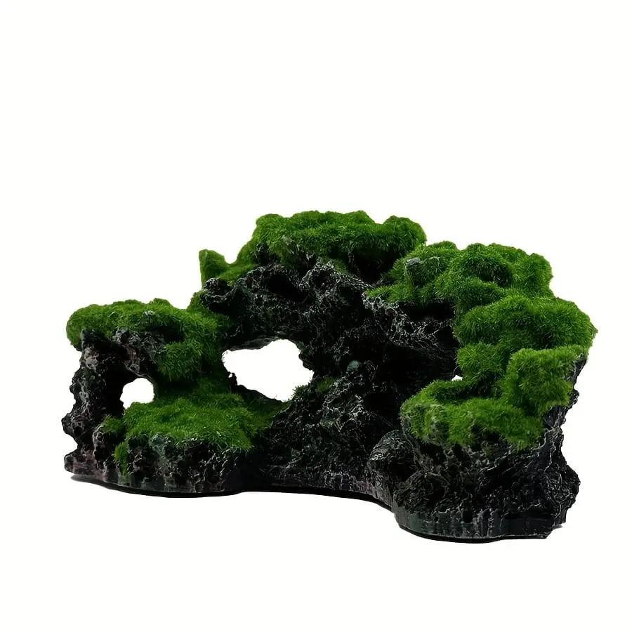 Algae Rock