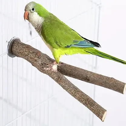 Bird Cage Accessories by Happy Rock Pets
