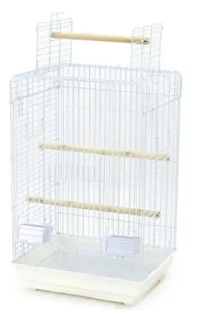 bird cage big size 