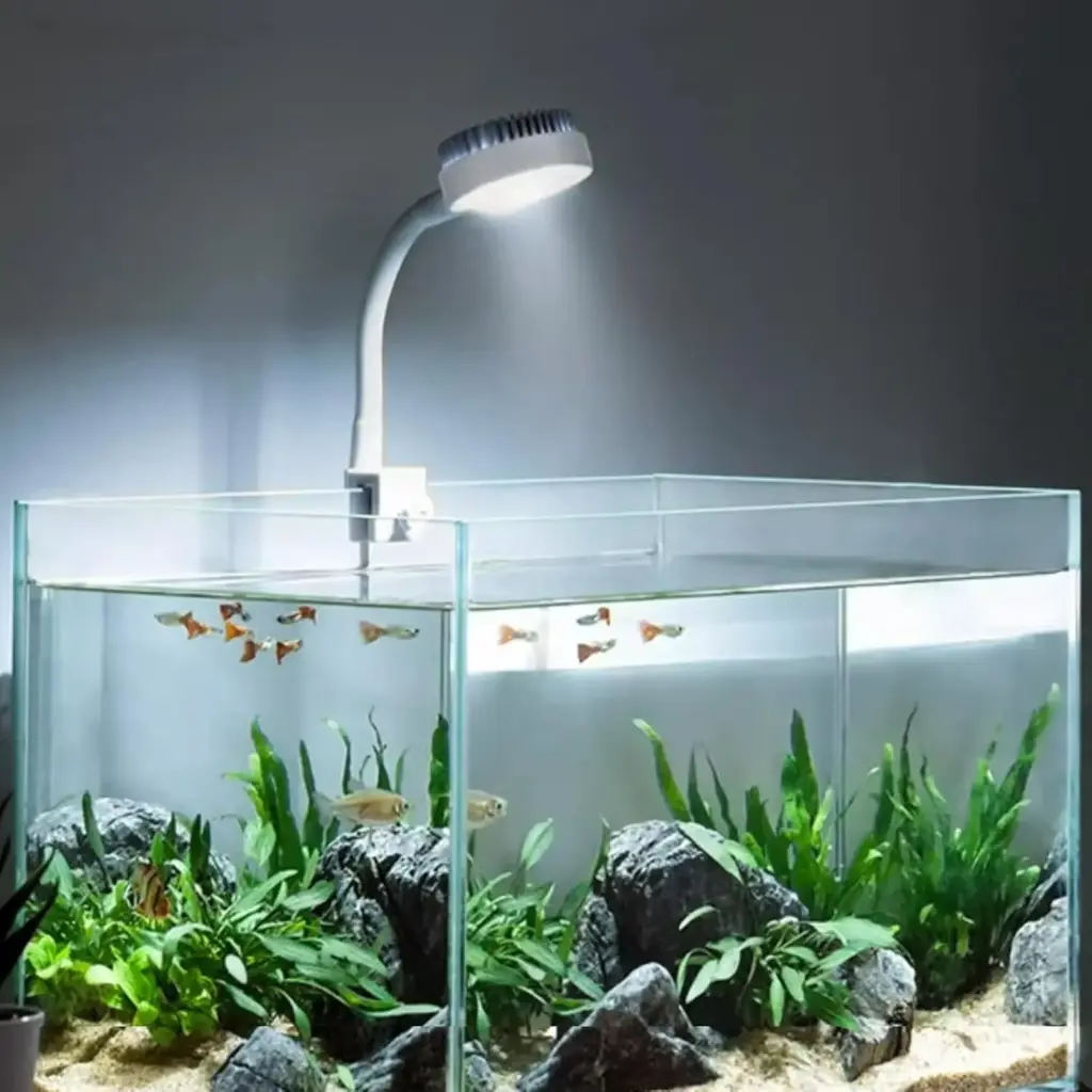 HoloAqua 4W Clip-on Aquarium Light – 360° Rotation