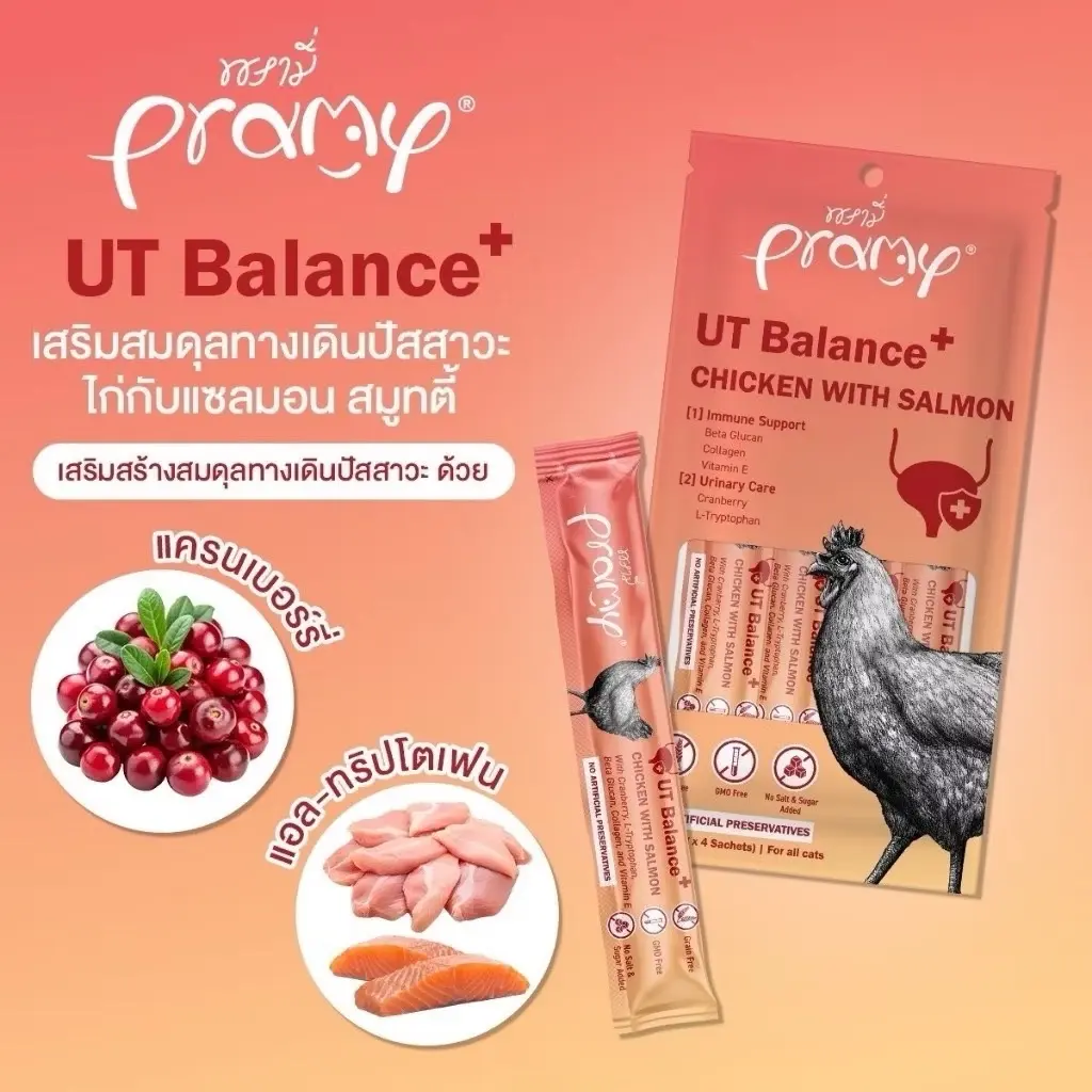  pramy treat Chicken & Salmon Cat Smoothie 14g – UT Balance