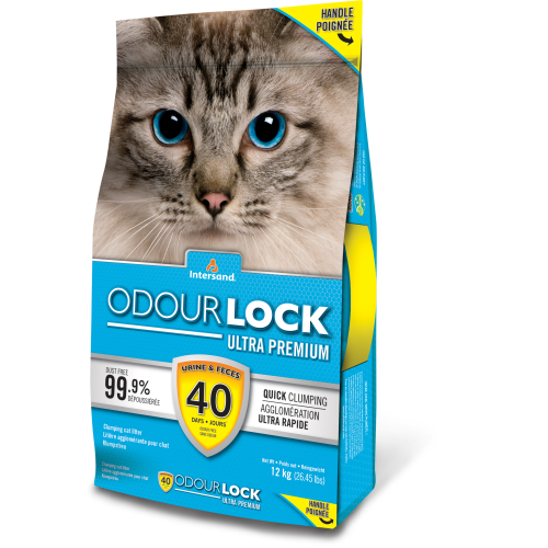 Intersand Litter Unscented 12kg