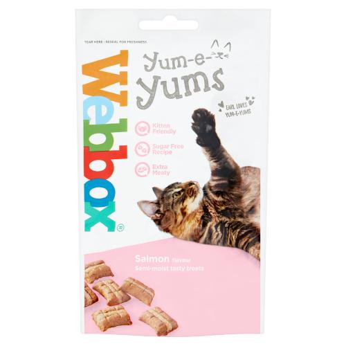 Webbox Yums Salmon Flavour 40g