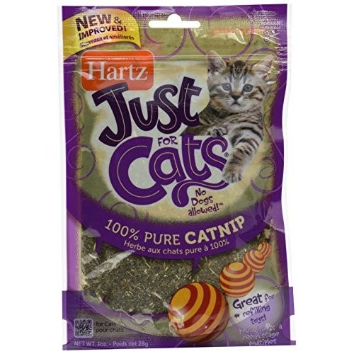 Hartz 100% Pure Catnip for Cats