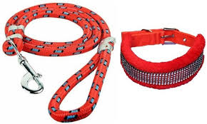 Medium embellished dog collar with rope