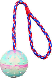 Dog Toy Padded Ball - 30 x 7 cm