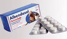  Albendazole DeWorming Tablets 200 mg