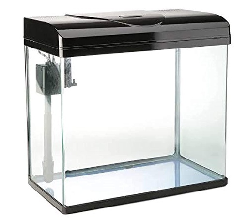 Fully Equipped Medium-Sized Fish Tank
