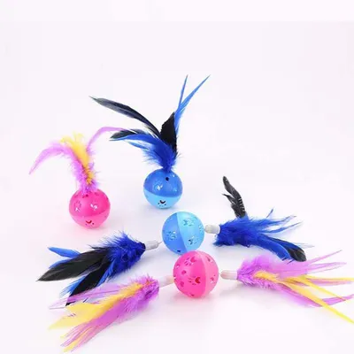 cat toy