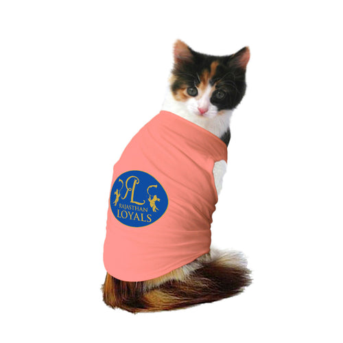 Summer Clothes for Cats 