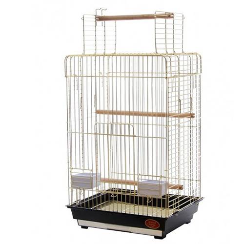 Parrot Cage