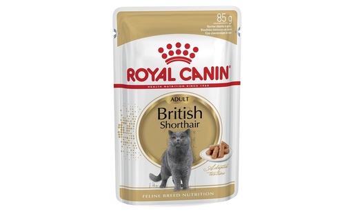 Royal Canin British Shorthair Adult Cat Wet Food, 85g