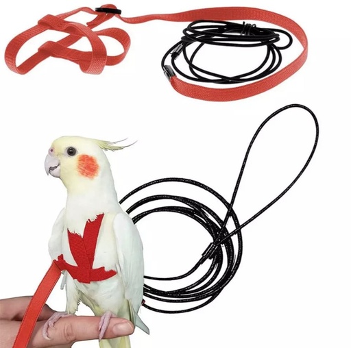 Bird Harness