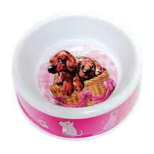 Melamine Cat Bowl