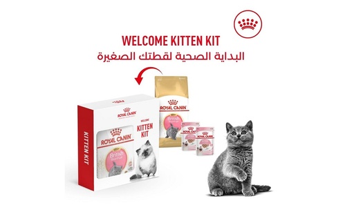 Royal Canin British Shorthair Kitten Dry Food 400g 