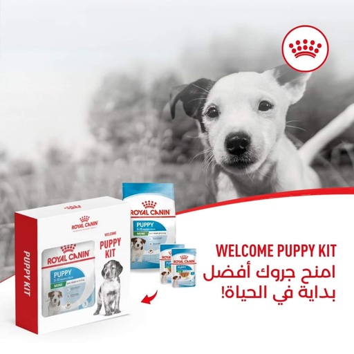 Royal Canin Mini Puppy kit 800g 