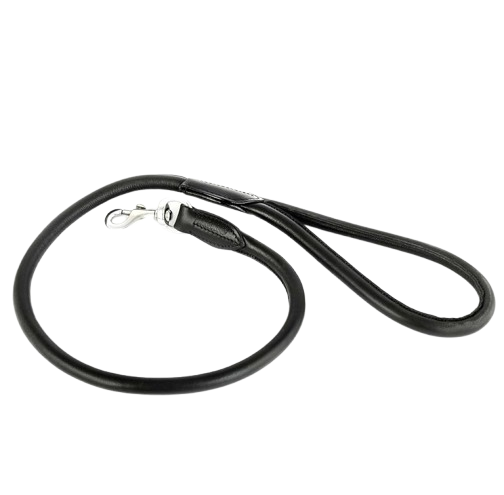 Large leather dog leash 
