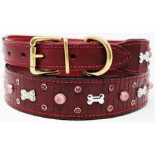 collar for small dogs m