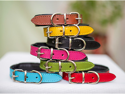 collar for small dogs S