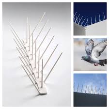 مسامير طرد الطيور